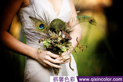 圖片3.png 圖片3.png