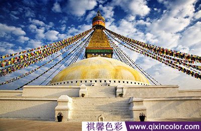 圖片1.png 圖片1.png