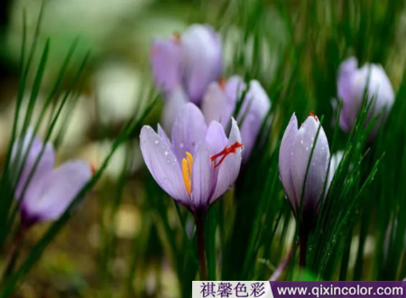 圖片1.png 圖片1.png