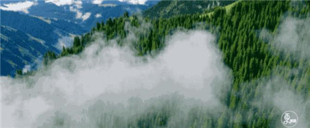 服裝色彩搭配培訓